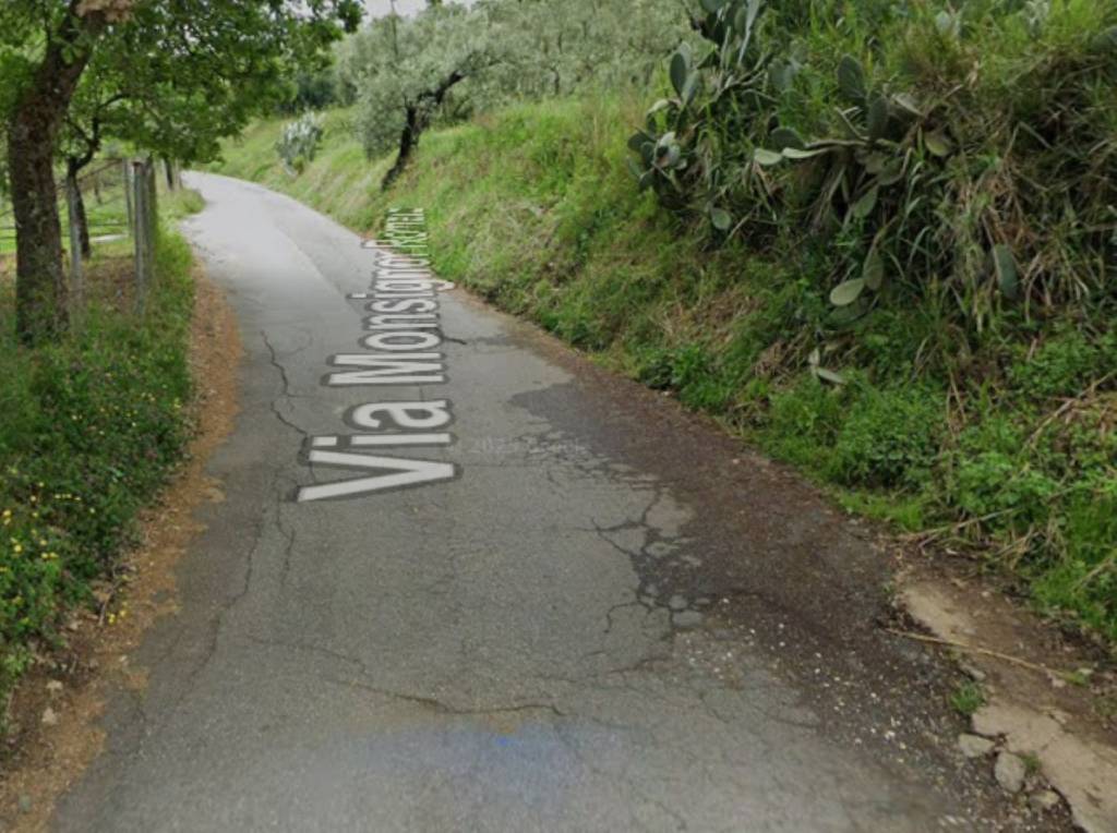 immagine annuncio 11 di 13