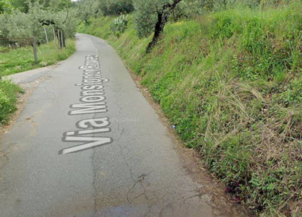 immagine annuncio 12 di 13