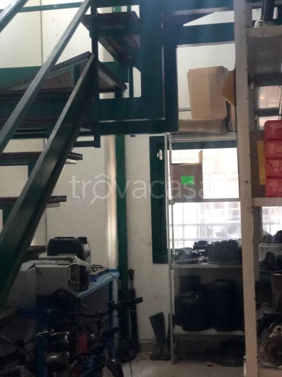 immagine annuncio 5 di 15