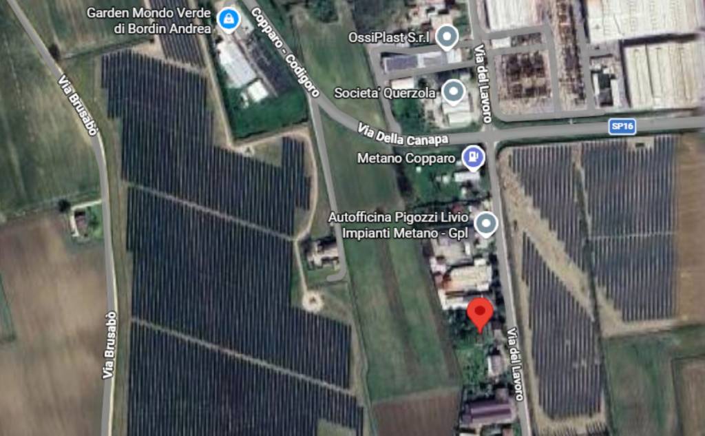 immagine annuncio 3 di 11