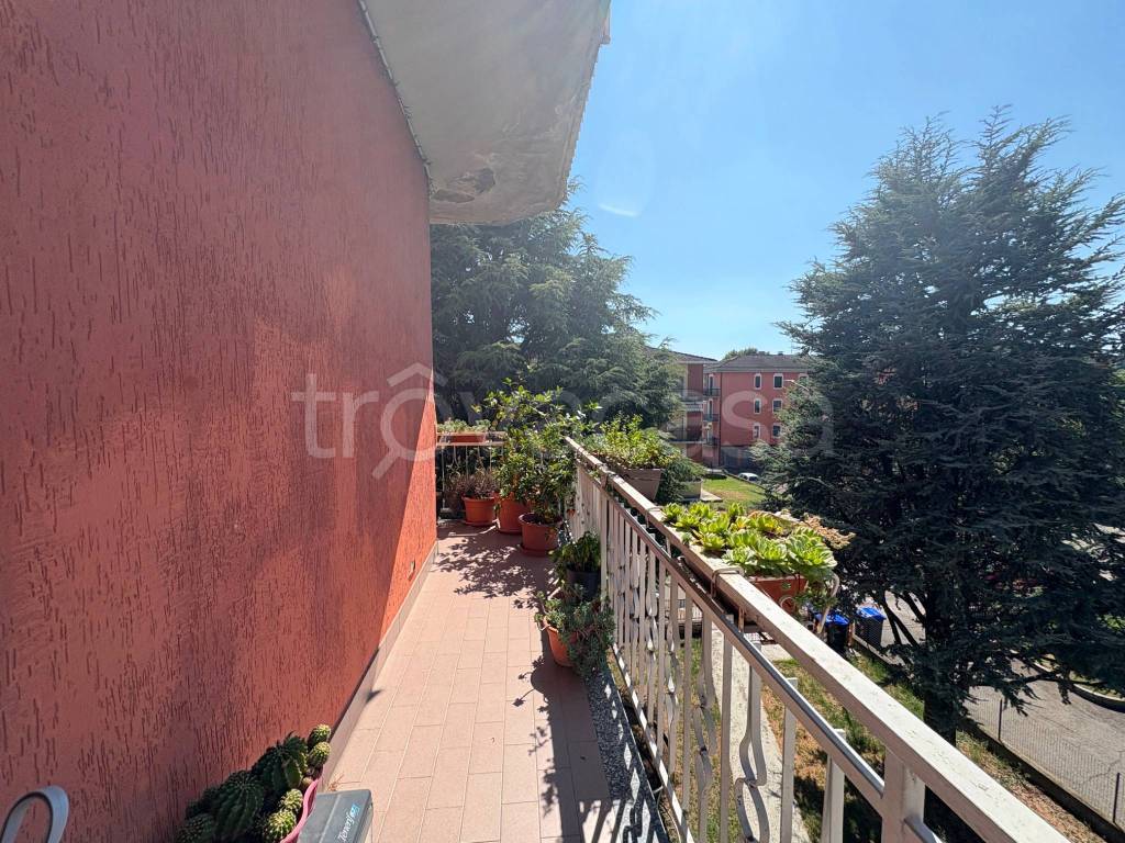 immagine annuncio 13 di 14