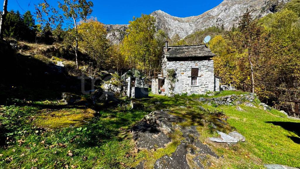 immagine annuncio 3 di 13