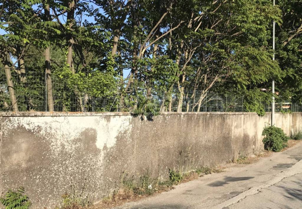 immagine annuncio 8 di 12