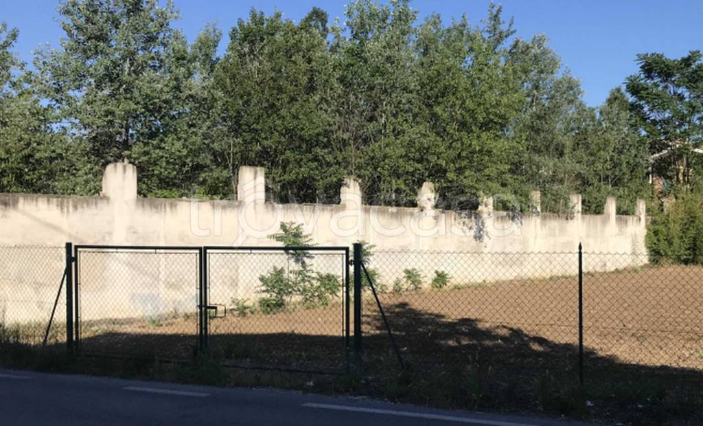 immagine annuncio 9 di 12