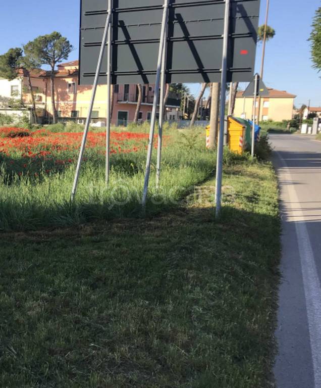 immagine annuncio 11 di 12