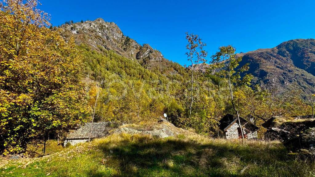 immagine annuncio 5 di 13