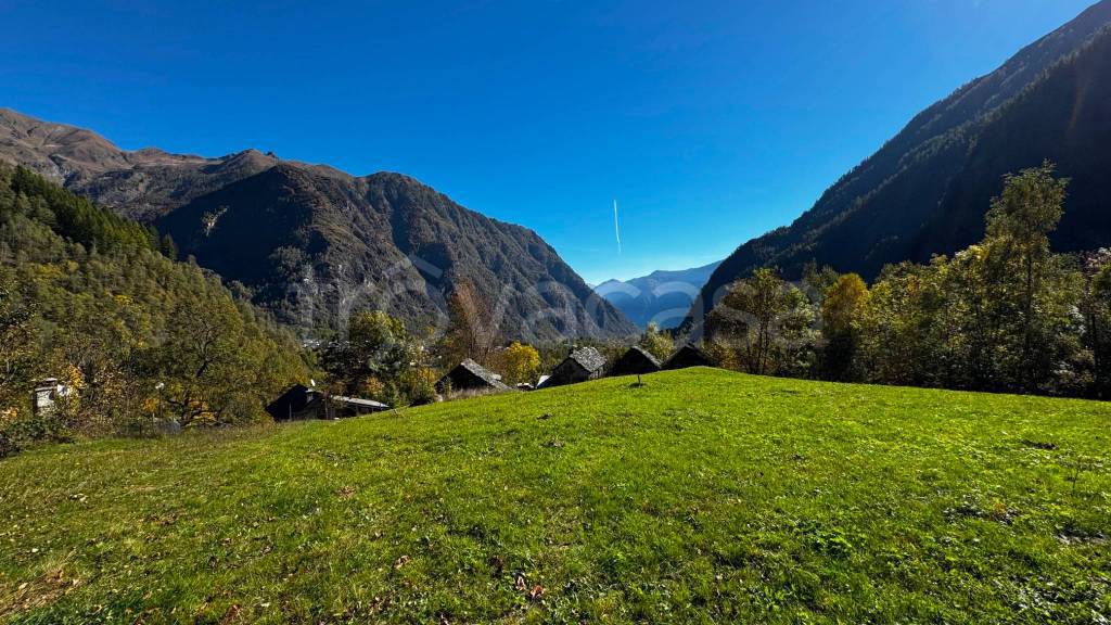 immagine annuncio 7 di 13