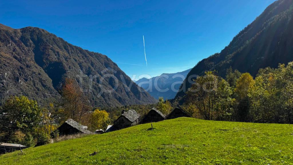 immagine annuncio 12 di 13