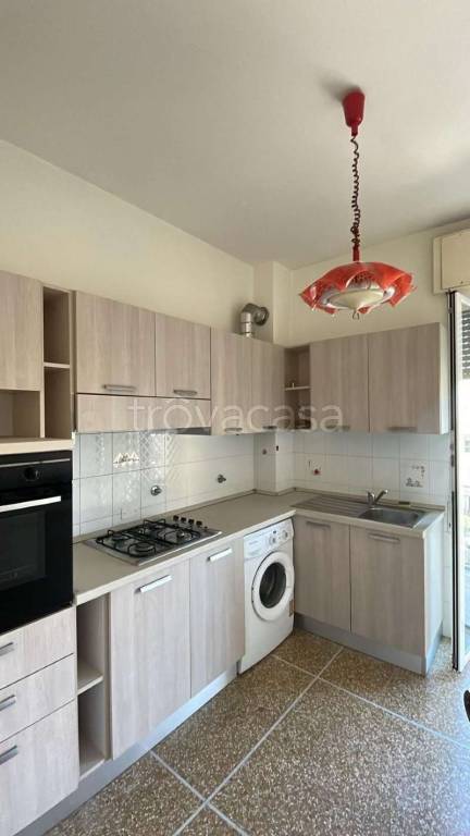 immagine annuncio 3 di 14