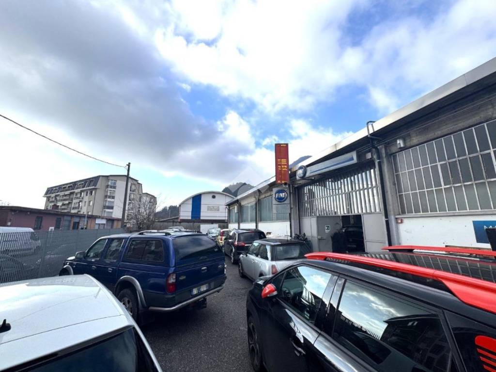 immagine annuncio 3 di 13