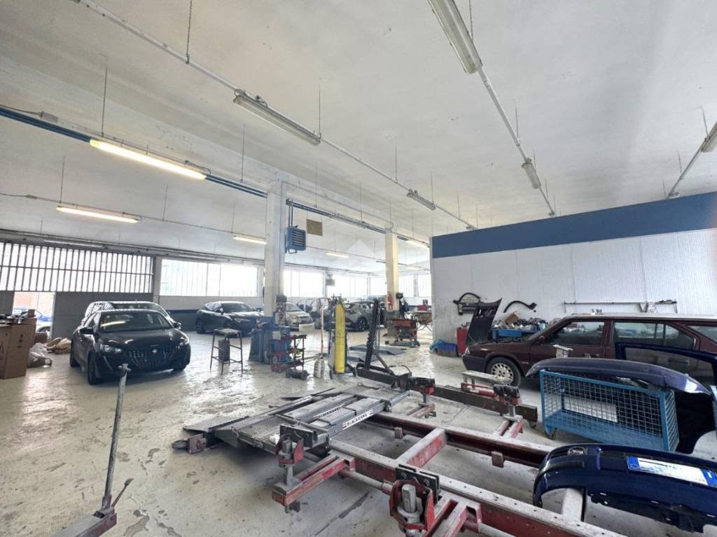 immagine annuncio 5 di 13