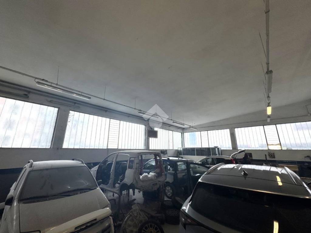 immagine annuncio 6 di 13