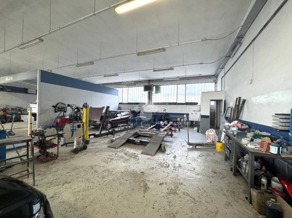 immagine annuncio 9 di 13