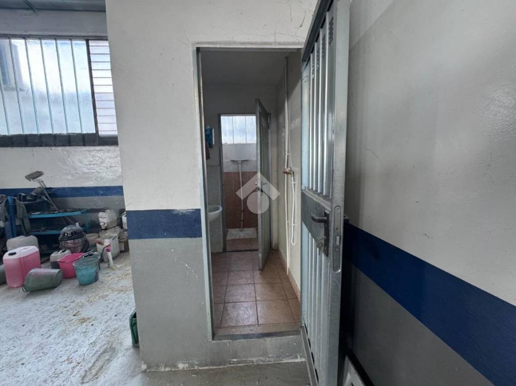 immagine annuncio 10 di 13