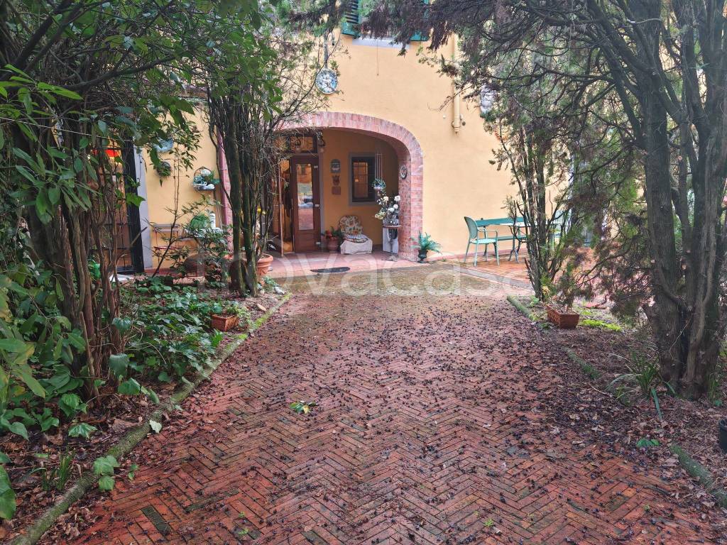 immagine annuncio 12 di 14