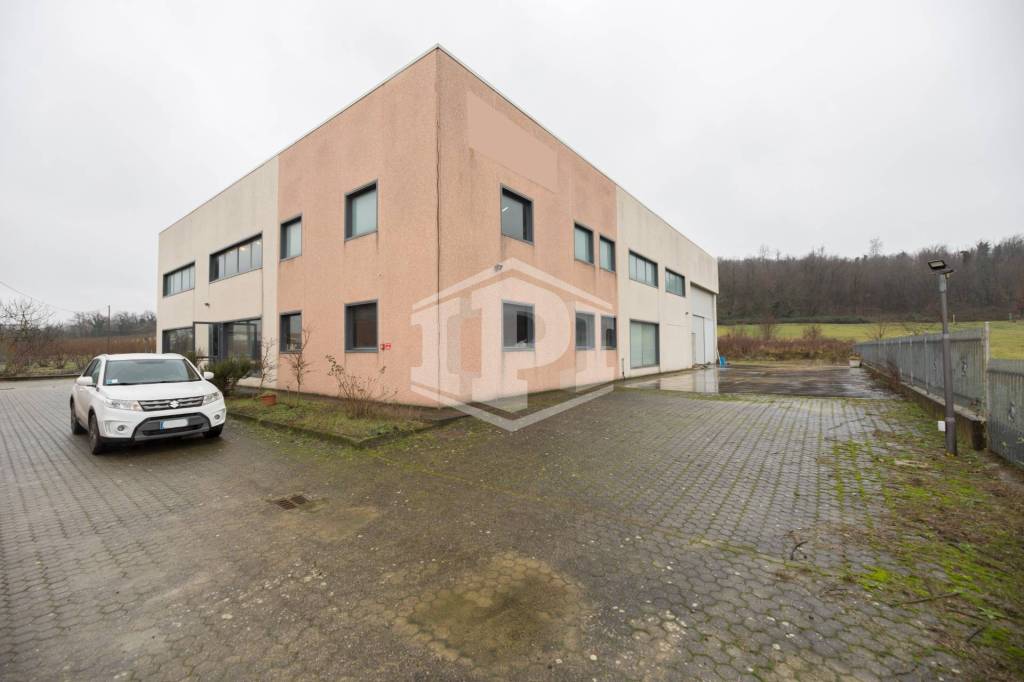 immagine annuncio 4 di 15