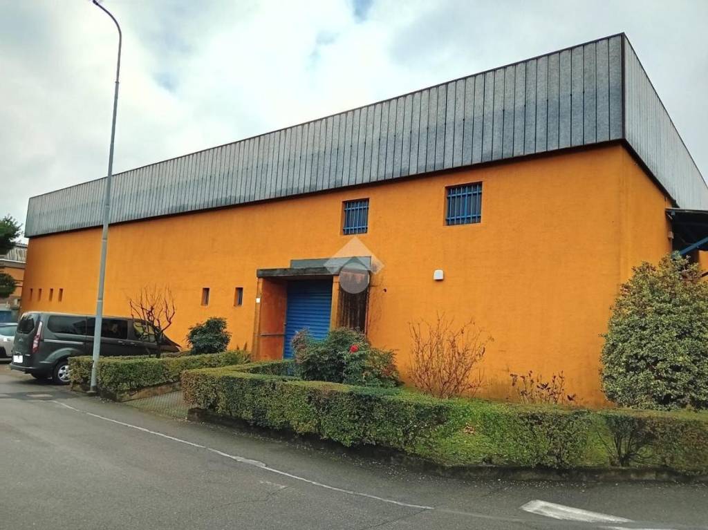 immagine annuncio 4 di 15