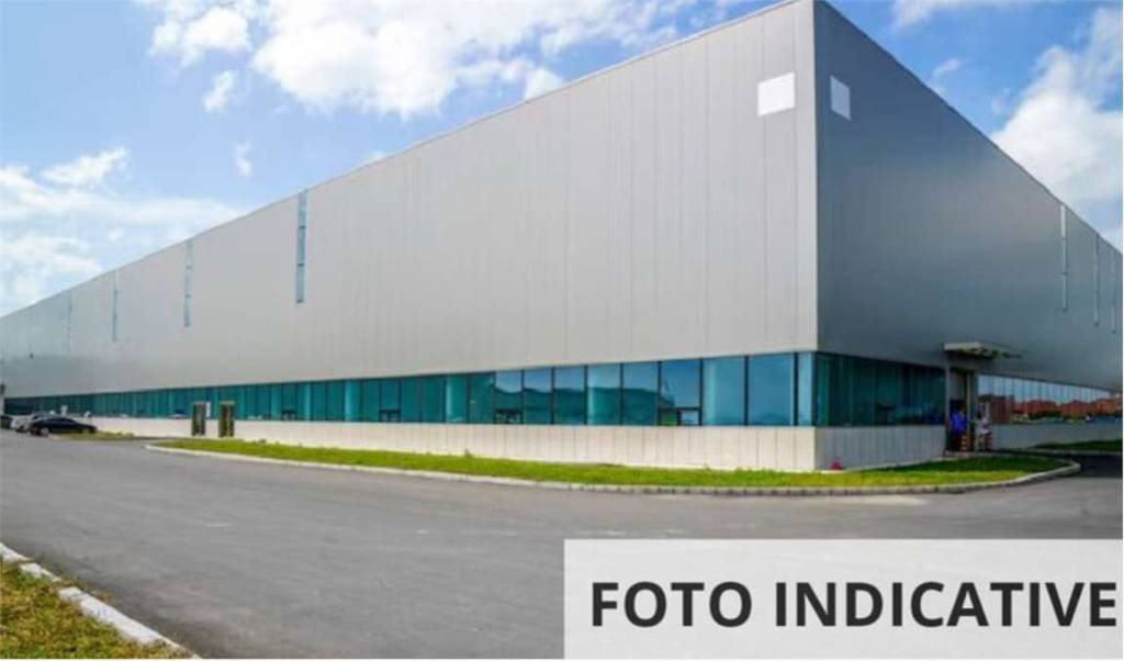 immagine annuncio 9 di 14