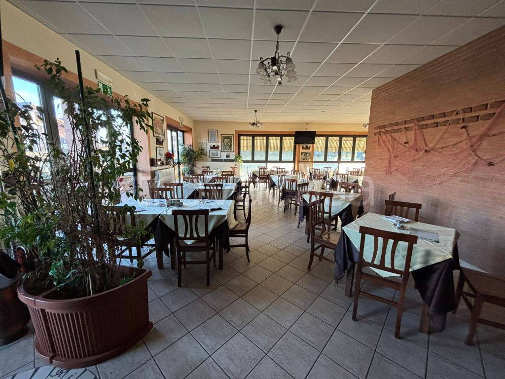 immagine annuncio 7 di 8