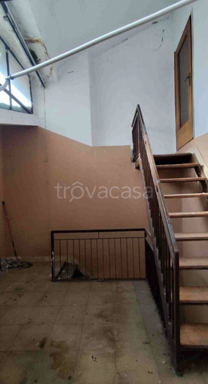 immagine annuncio 10 di 14