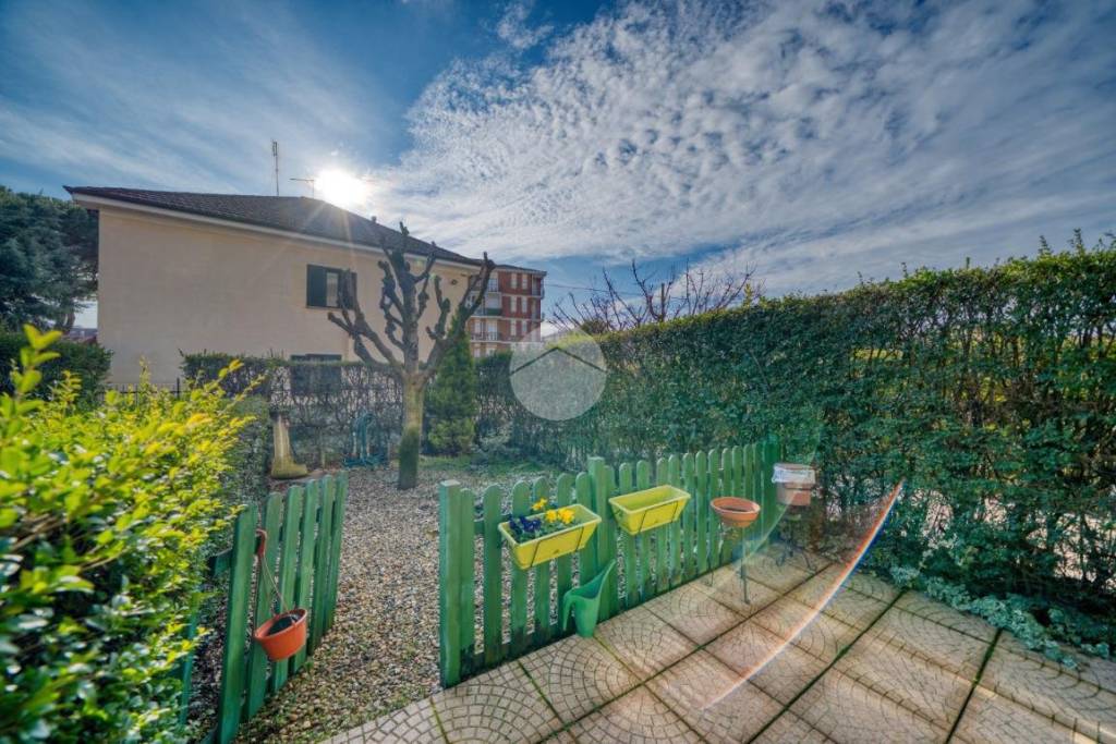 immagine annuncio 5 di 15