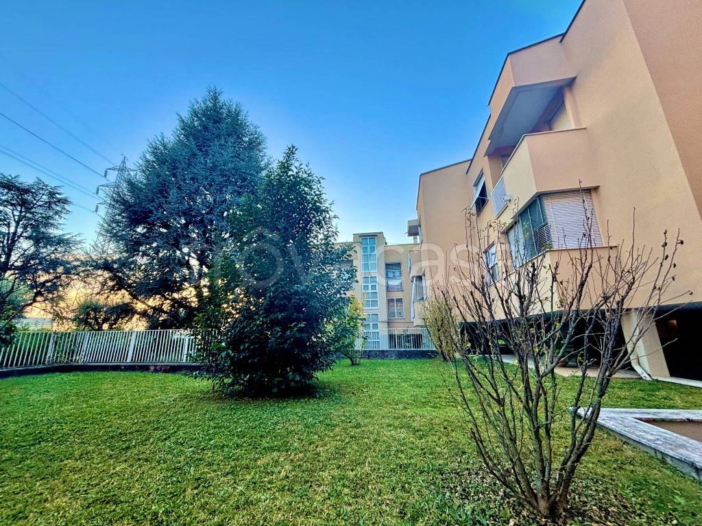 immagine annuncio 2 di 12