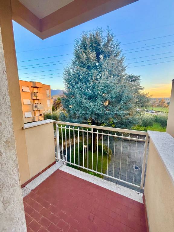 immagine annuncio 5 di 12