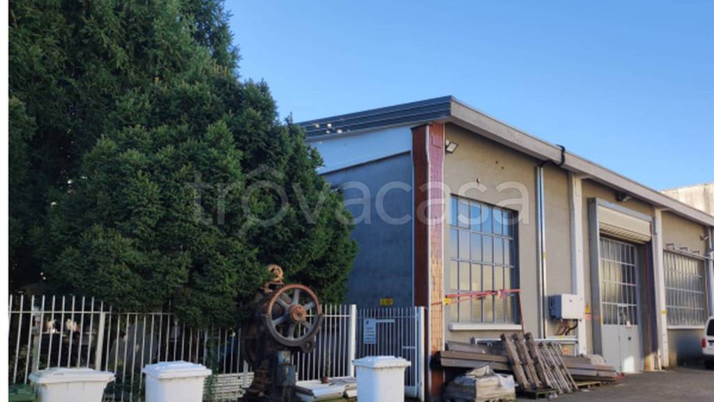 immagine annuncio 7 di 13