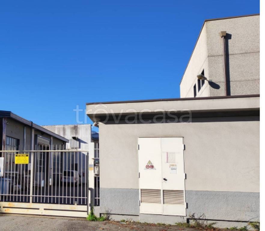 immagine annuncio 8 di 13