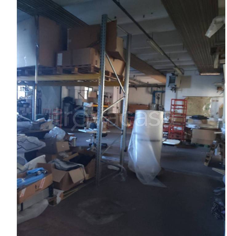 immagine annuncio 10 di 13