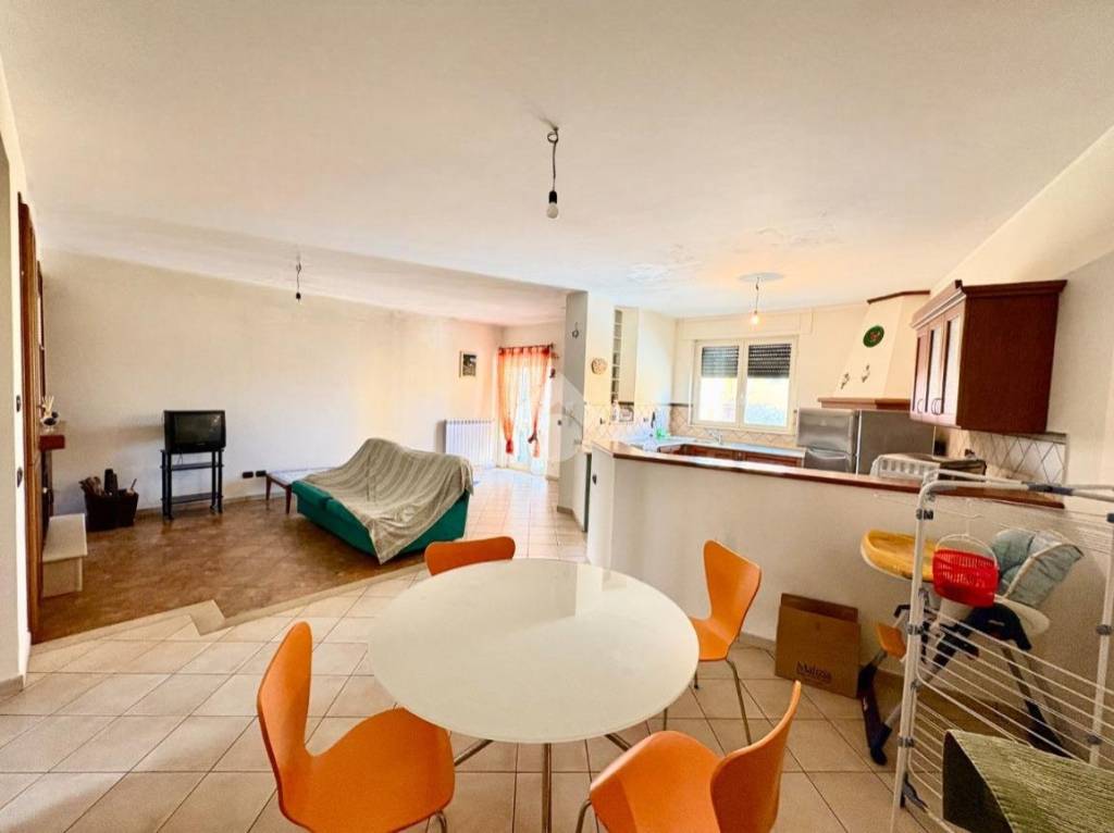 immagine annuncio 3 di 12