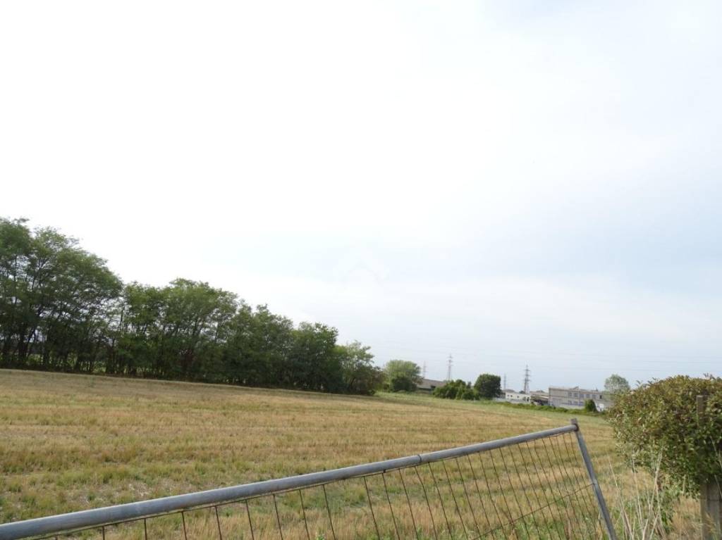 immagine annuncio 7 di 8