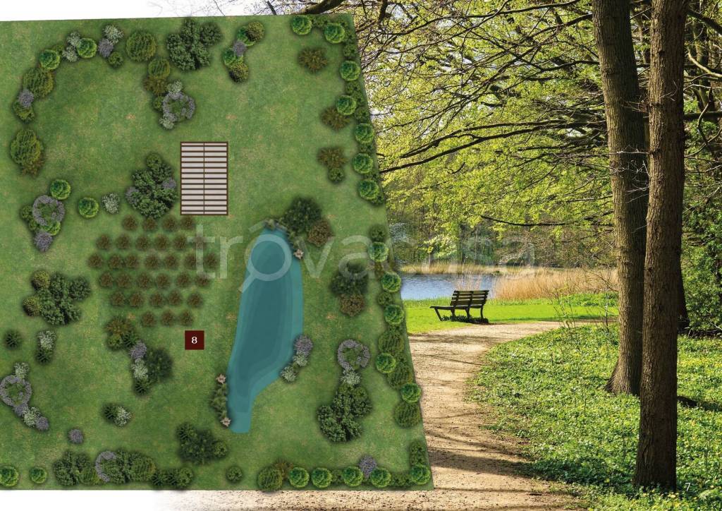 immagine annuncio 5 di 12