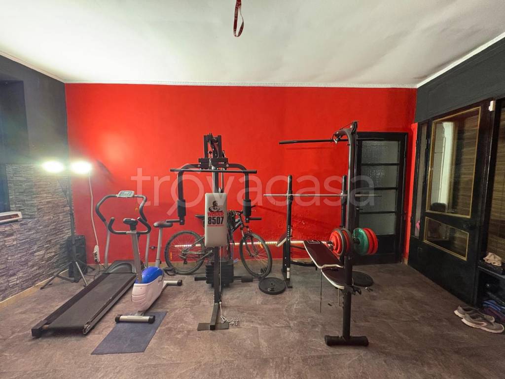 immagine annuncio 10 di 15