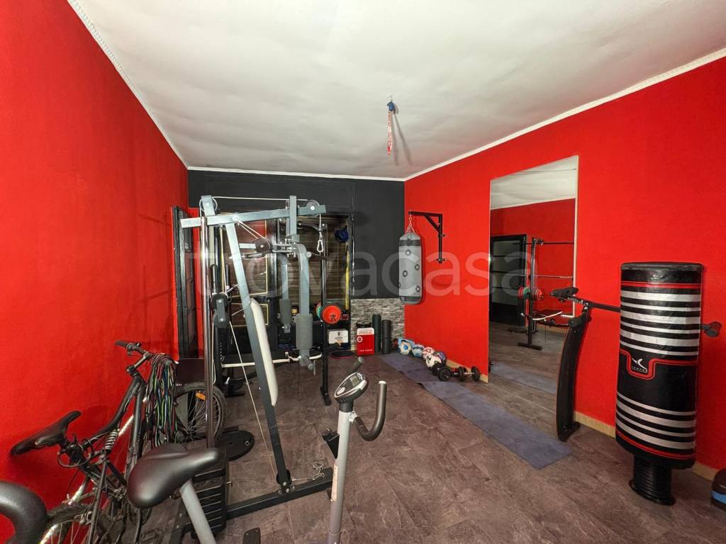 immagine annuncio 9 di 15