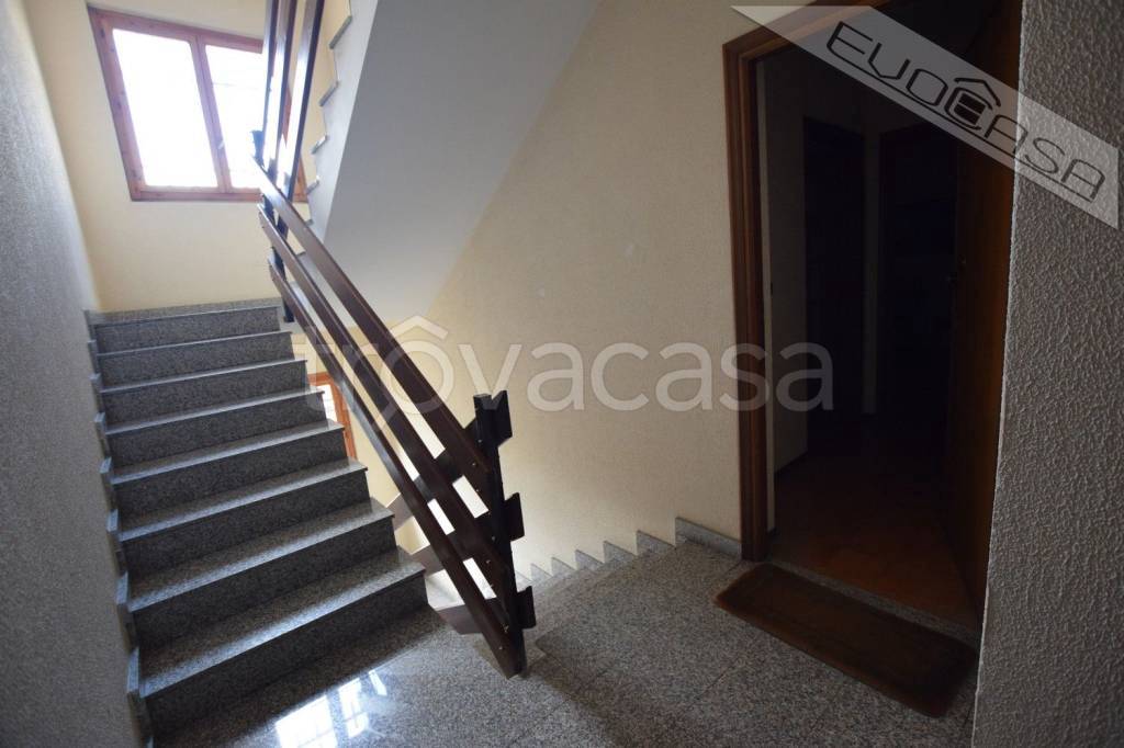 immagine annuncio 11 di 14