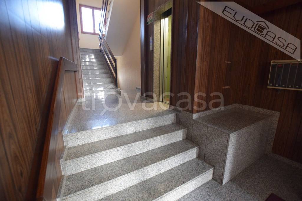 immagine annuncio 12 di 14