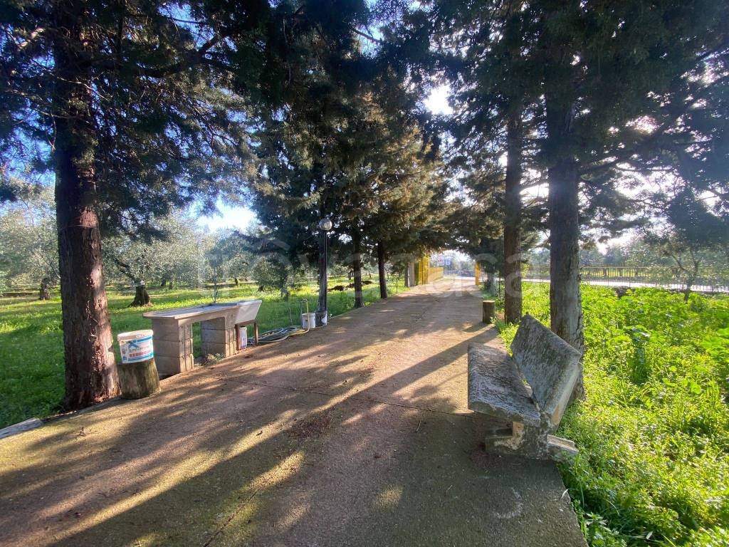 immagine annuncio 4 di 13