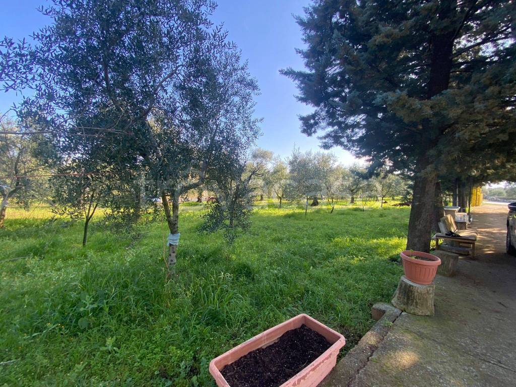 immagine annuncio 5 di 13