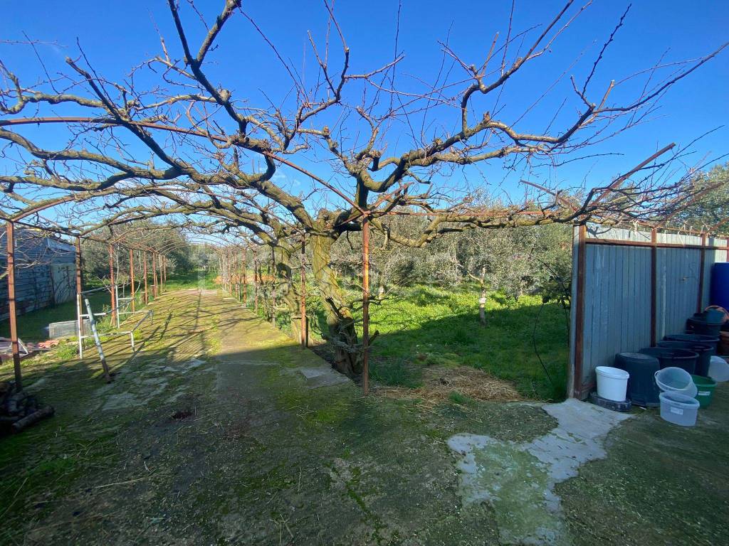 immagine annuncio 11 di 13