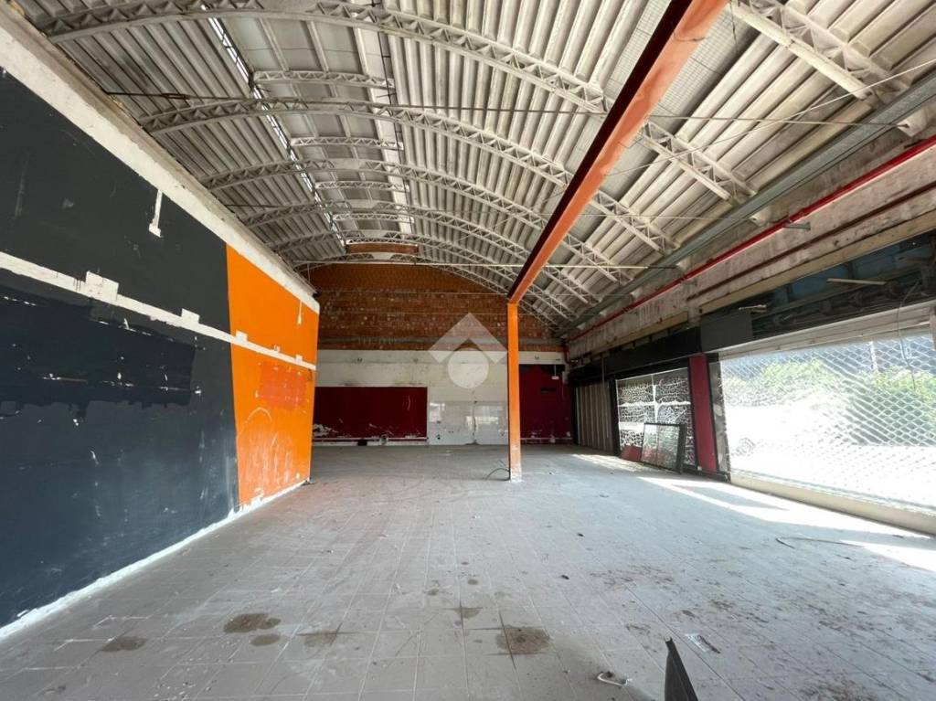 immagine annuncio 9 di 13