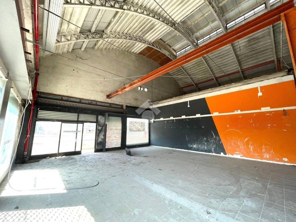 immagine annuncio 12 di 13