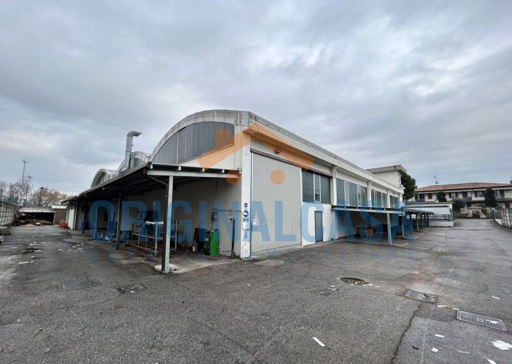 immagine annuncio 1 di 15