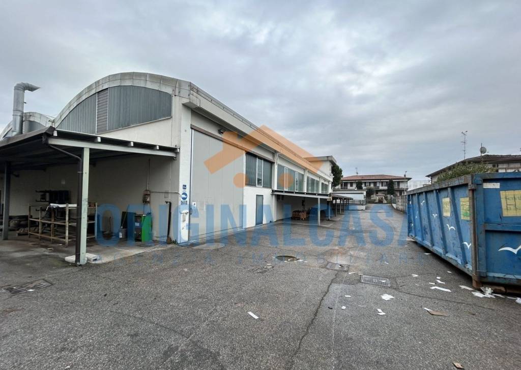 immagine annuncio 8 di 15