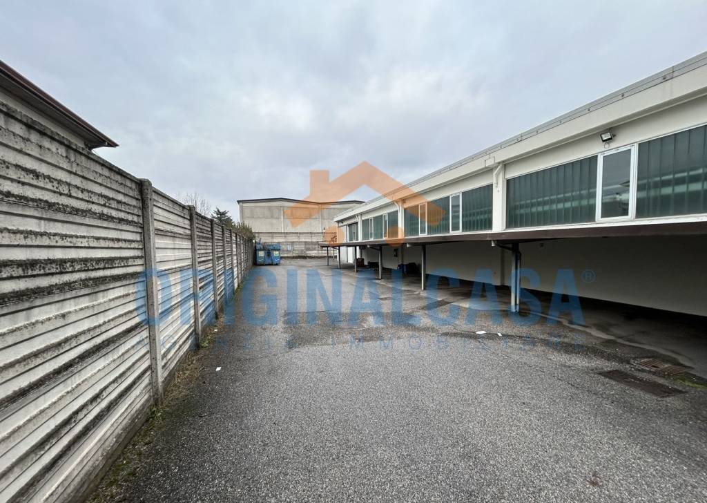 immagine annuncio 9 di 15