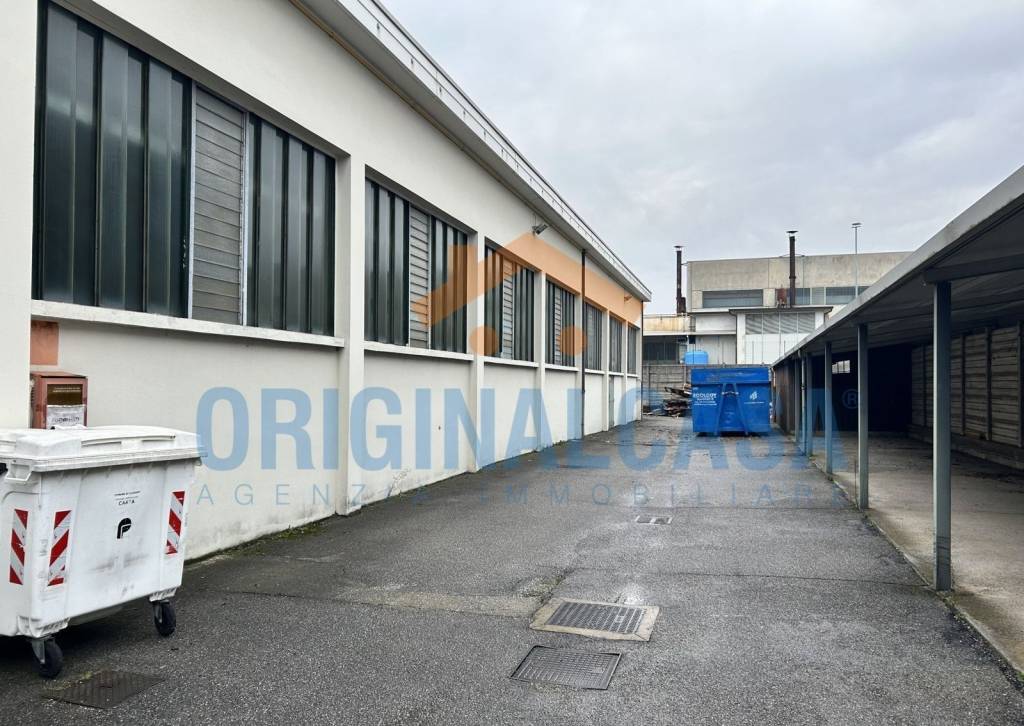 immagine annuncio 12 di 15