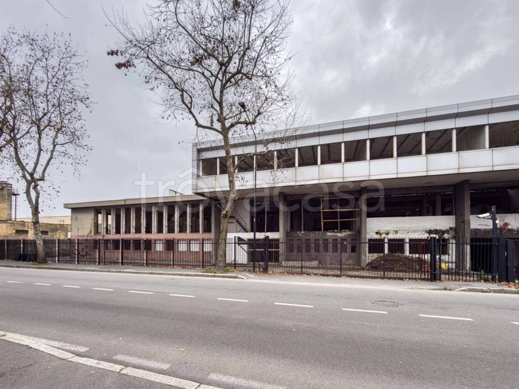 immagine annuncio 9 di 12