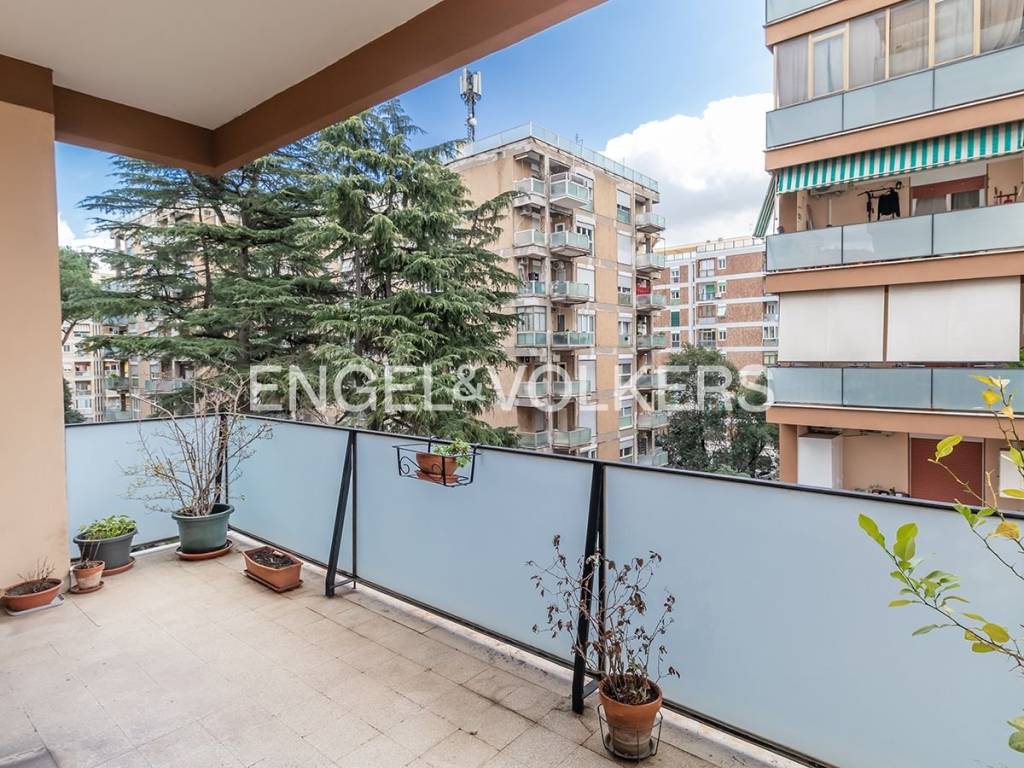 immagine annuncio 9 di 13