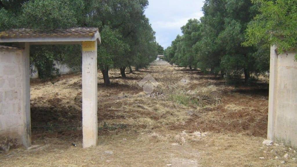 immagine annuncio 3 di 11