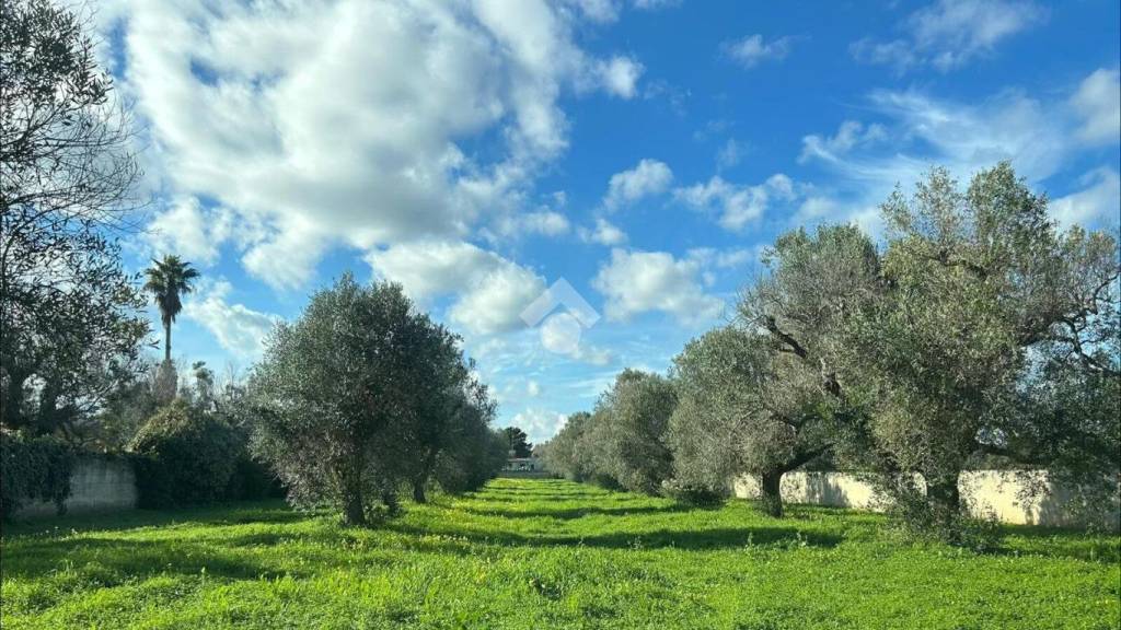 immagine annuncio 4 di 11